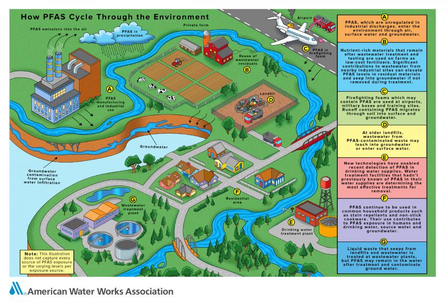 Infographic illustrating how PFAS cycles through the environment