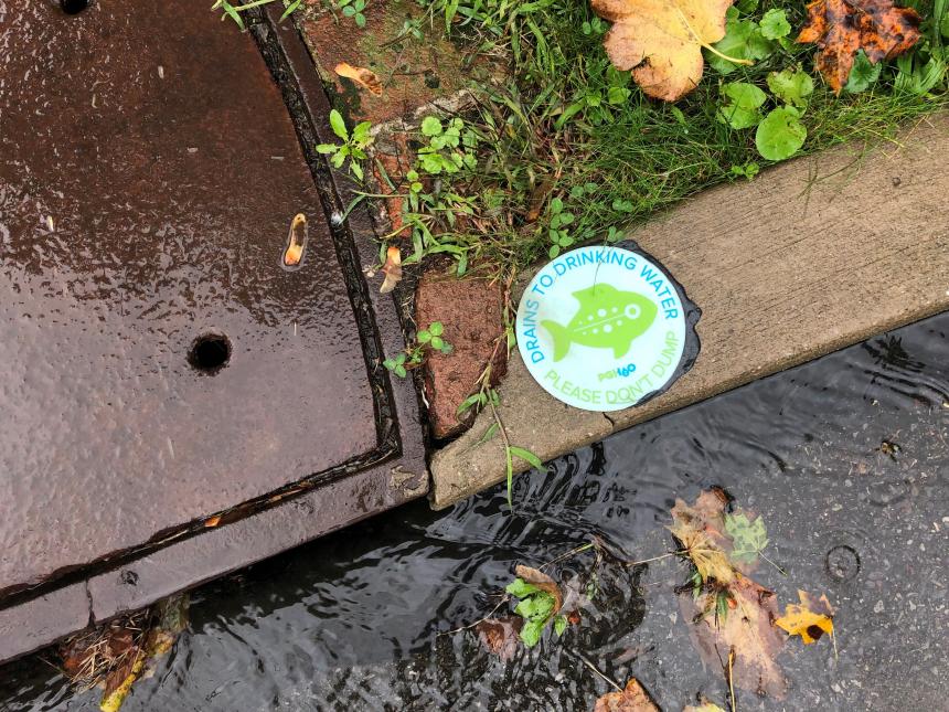 Close-up photo of a storm drain with rain entering and a curb marker next to it that says "drains to drinking water, please don't dump"